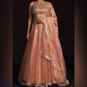 Peach Embellished Lehenga Skirt with Sheer Dupatta